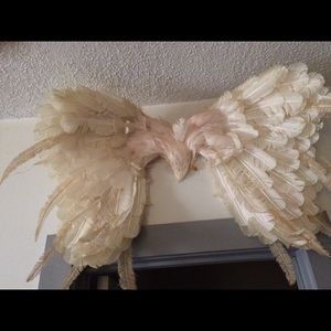Victoria’s Secret Wings